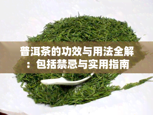 普洱茶的功效与用法全解：包括禁忌与实用指南