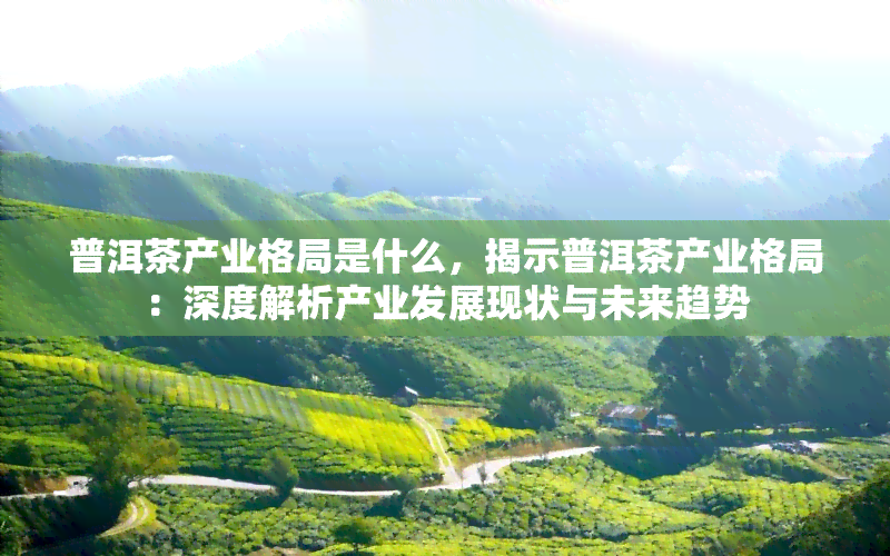 普洱茶产业格局是什么，揭示普洱茶产业格局：深度解析产业发展现状与未来趋势