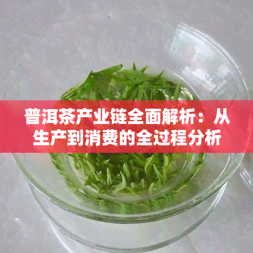 普洱茶产业链全面解析：从生产到消费的全过程分析与金融支持探讨