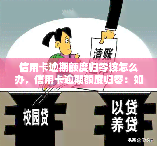 信用卡逾期额度归零该怎么办，信用卡逾期额度归零：如何解决问题？