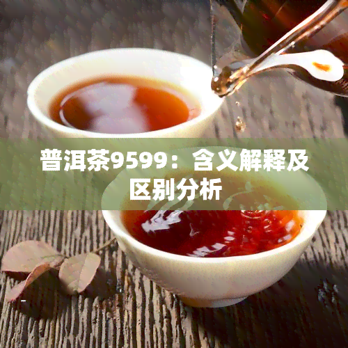 普洱茶9599：含义解释及区别分析