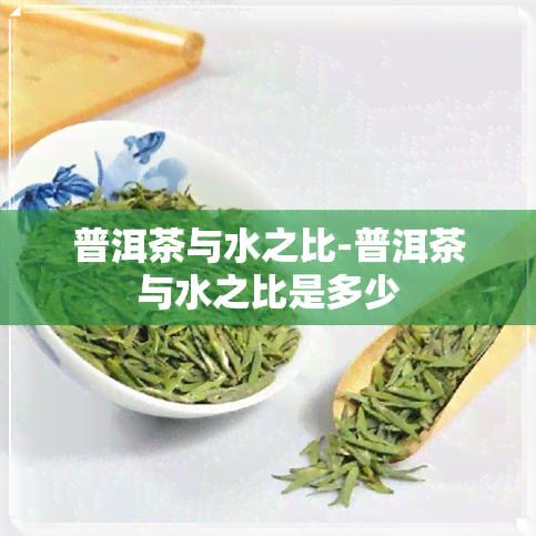 普洱茶与水之比-普洱茶与水之比是多少