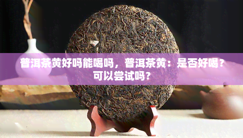 普洱茶黄好吗能喝吗，普洱茶黄：是否好喝？可以尝试吗？