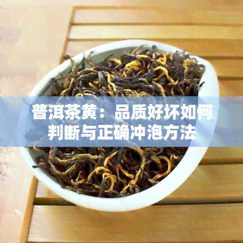 普洱茶黄：品质好坏如何判断与正确冲泡方法