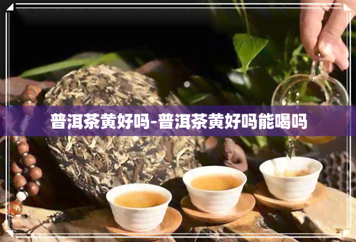 普洱茶黄好吗-普洱茶黄好吗能喝吗