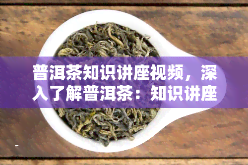 普洱茶知识讲座视频，深入了解普洱茶：知识讲座视频解析