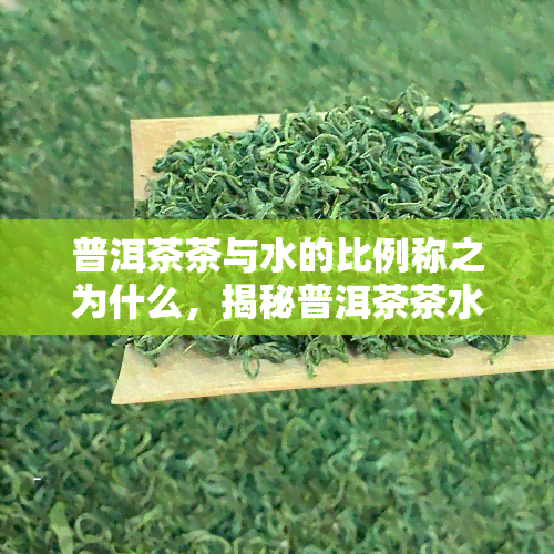 普洱茶茶与水的比例称之为什么，揭秘普洱茶茶水比例的称谓