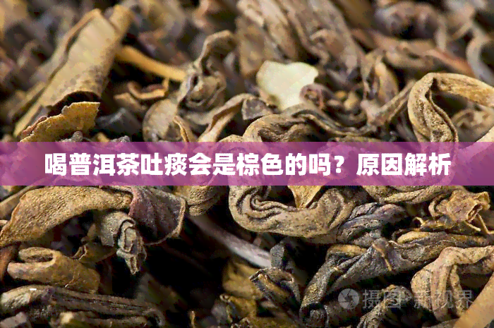 喝普洱茶吐痰会是棕色的吗？原因解析