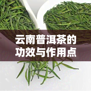 云南普洱茶的功效与作用点：揭示其健益处