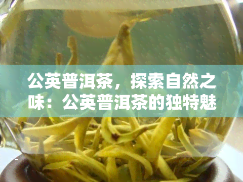 公英普洱茶，探索自然之味：公英普洱茶的独特魅力