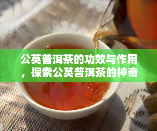 公英普洱茶的功效与作用，探索公英普洱茶的神奇功效与作用