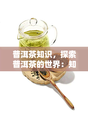 普洱茶知识，探索普洱茶的世界：知识与文化