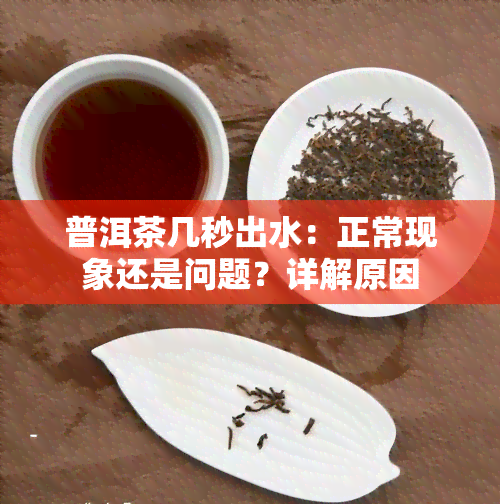 普洱茶几秒出水：正常现象还是问题？详解原因