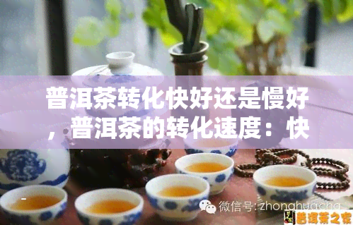 普洱茶转化快好还是慢好，普洱茶的转化速度：快好还是慢好？