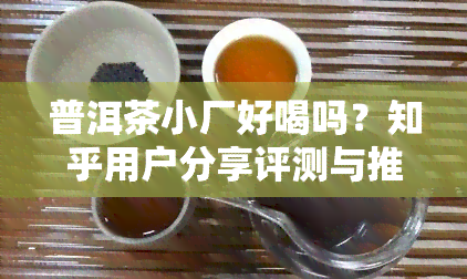 普洱茶小厂好喝吗？知乎用户分享评测与推荐