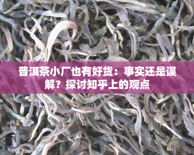 普洱茶小厂也有好货：事实还是误解？探讨知乎上的观点