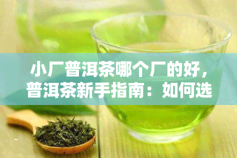 小厂普洱茶哪个厂的好，普洱茶新手指南：如何选择优质的小厂普洱茶？