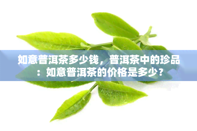 如意普洱茶多少钱，普洱茶中的珍品：如意普洱茶的价格是多少？