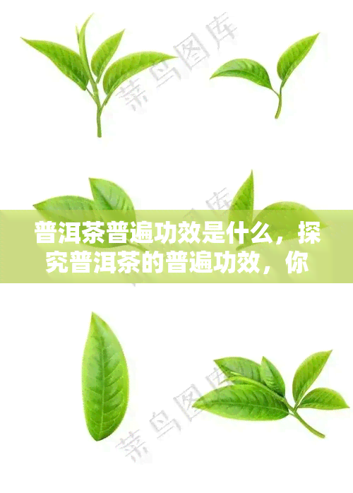 普洱茶普遍功效是什么，探究普洱茶的普遍功效，你不可不知的秘密！