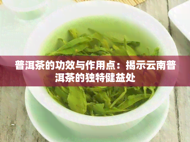 普洱茶的功效与作用点：揭示云南普洱茶的独特健益处