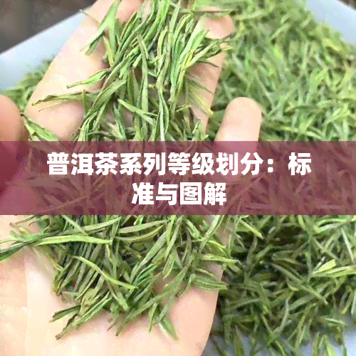 普洱茶系列等级划分：标准与图解