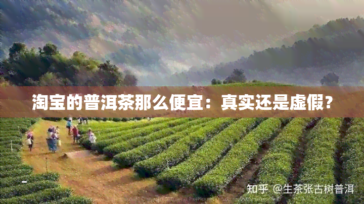 淘宝的普洱茶那么便宜：真实还是虚假？