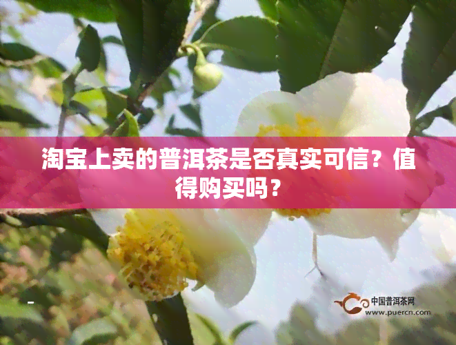 淘宝上卖的普洱茶是否真实可信？值得购买吗？