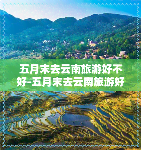 五月末去云南旅游好不好-五月末去云南旅游好不好呢