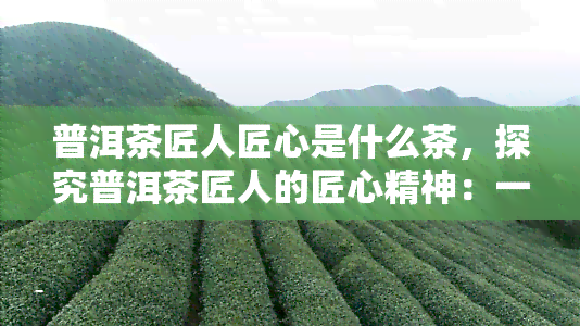 普洱茶匠人匠心是什么茶，探究普洱茶匠人的匠心精神：一种独特的茶叶文化