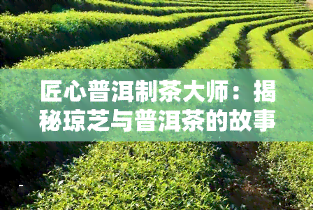 匠心普洱制茶大师：揭秘琼芝与普洱茶的故事