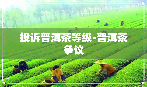 投诉普洱茶等级-普洱茶争议