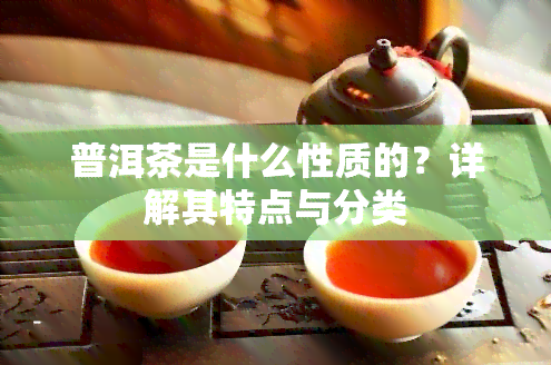 普洱茶是什么性质的？详解其特点与分类