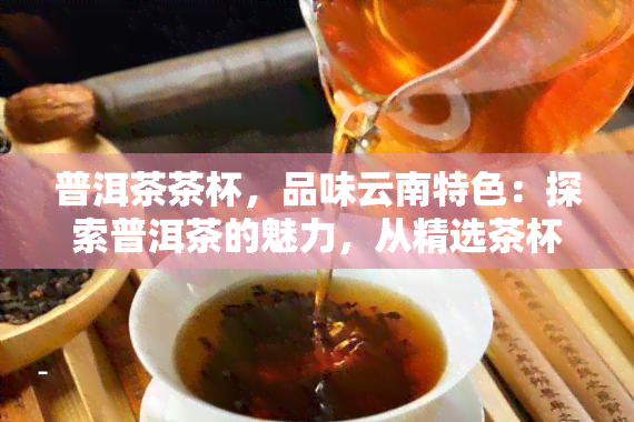 普洱茶茶杯，品味云南特色：探索普洱茶的魅力，从精选茶杯开始