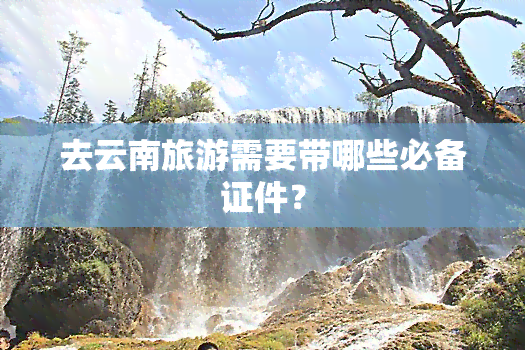 去云南旅游需要带哪些必备证件？