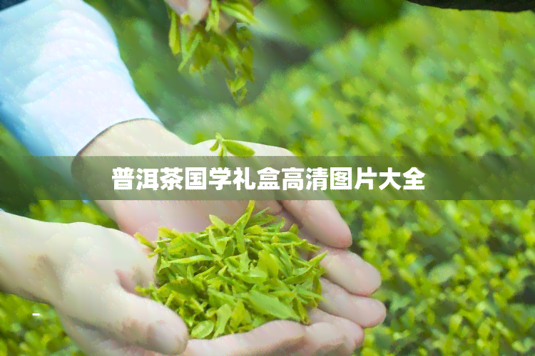 普洱茶国学礼盒高清图片大全