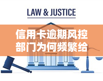 信用卡逾期风控部门为何频繁给我打电话？是否将采取法律手追讨欠款？