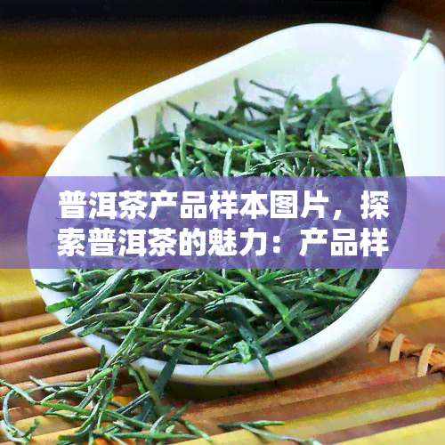 普洱茶产品样本图片，探索普洱茶的魅力：产品样本图片展示