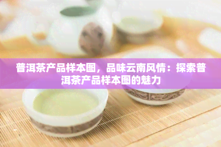 普洱茶产品样本图，品味云南风情：探索普洱茶产品样本图的魅力