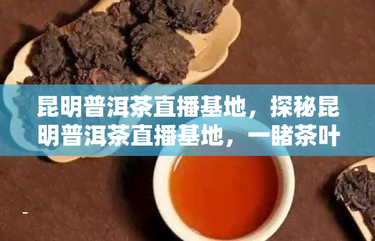 昆明普洱茶直播基地，探秘昆明普洱茶直播基地，一茶叶制作全过程！