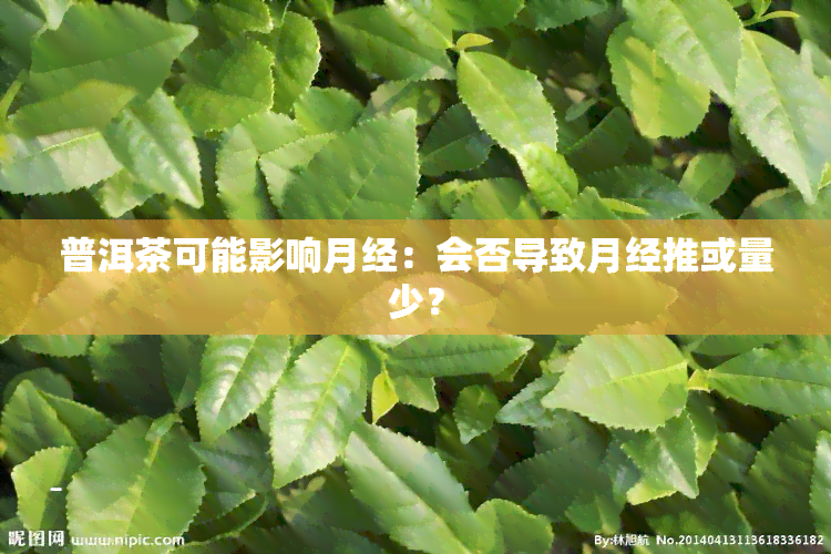 普洱茶可能影响月经：会否导致月经推或量少？