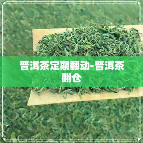 普洱茶定期翻动-普洱茶翻仓