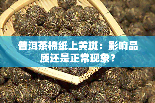 普洱茶棉纸上黄斑：影响品质还是正常现象？