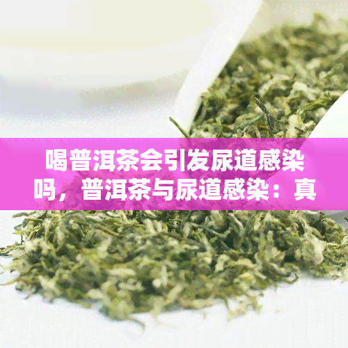 喝普洱茶会引发尿道感染吗，普洱茶与尿道感染：真的有关系吗？