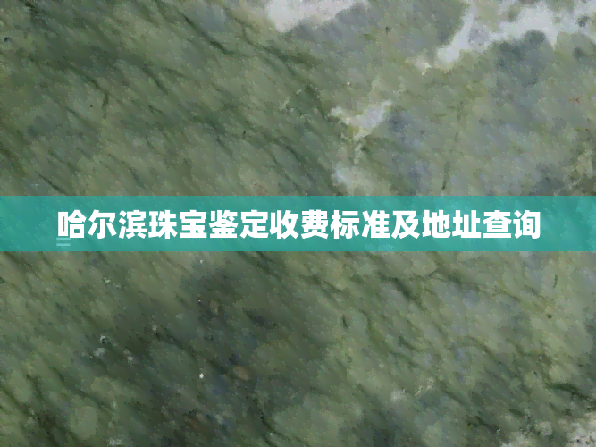 哈尔滨珠宝鉴定收费标准及地址查询