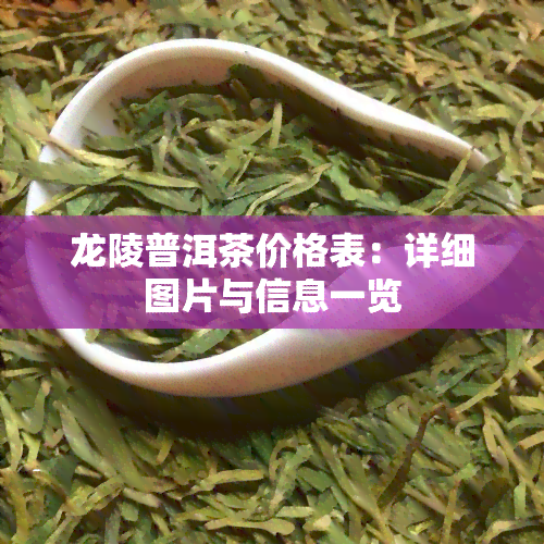 龙陵普洱茶价格表：详细图片与信息一览