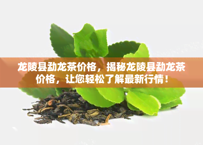 龙陵县勐龙茶价格，揭秘龙陵县勐龙茶价格，让您轻松了解最新行情！