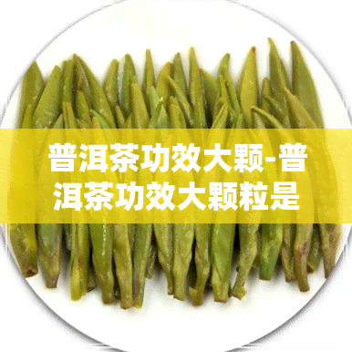 普洱茶功效大颗-普洱茶功效大颗粒是什么