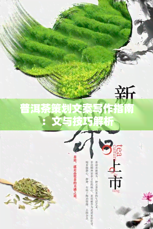 普洱茶策划文案写作指南：文与技巧解析