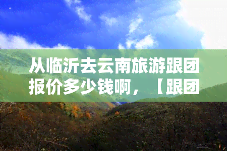 从临沂去云南旅游跟团报价多少钱啊，【跟团游】临沂到云南旅游，最新报价是多少？