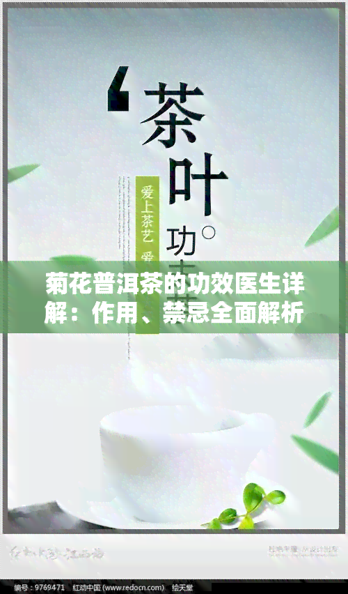 菊花普洱茶的功效医生详解：作用、禁忌全面解析